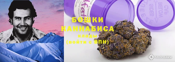 тгк Белокуриха