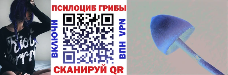 Галлюциногенные грибы Psilocybine cubensis  Купить закладки  Новосиль 